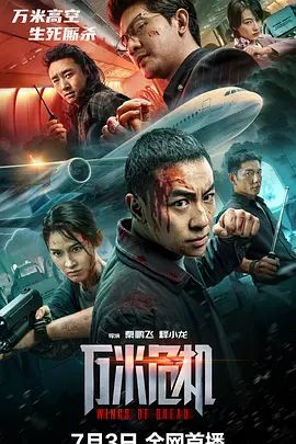 《花儿与少年》主视觉海报